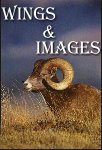 Wings and Images .. Photos are Art!